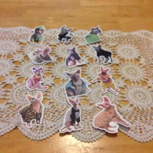 Sphynx Cats Stickers, funny, quirky, silly, for cellphone, crafts, hydroflask